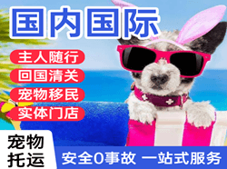 遵义茅台空运地址国际宠物托运 【国